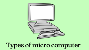 types of micro computer
