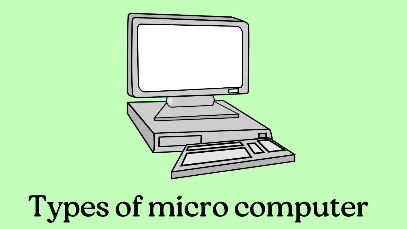 types of micro computer